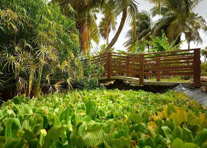 Habitat Bonaire, BW Signature Collection