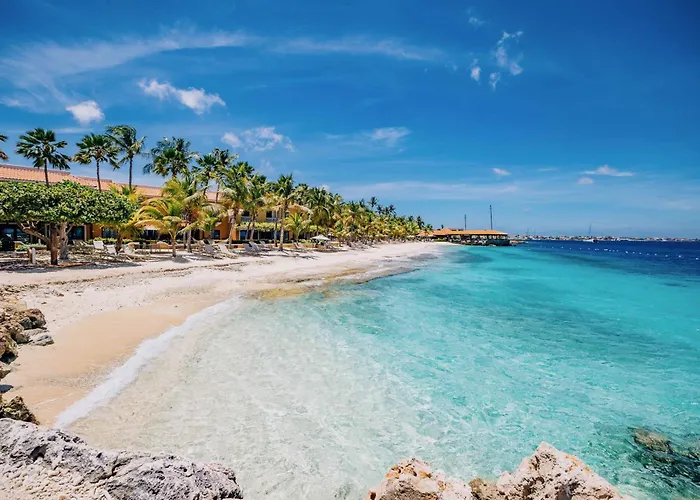 Harbour Village Beach Club